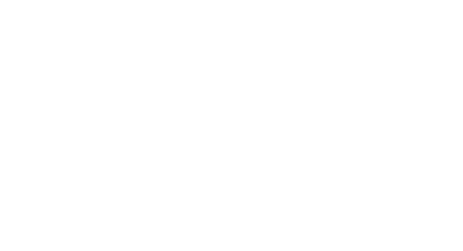 Logo Feki.de