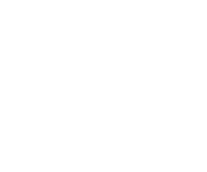 Logo Feki.de